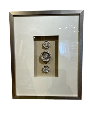 French Framed Medallions (6 avail)