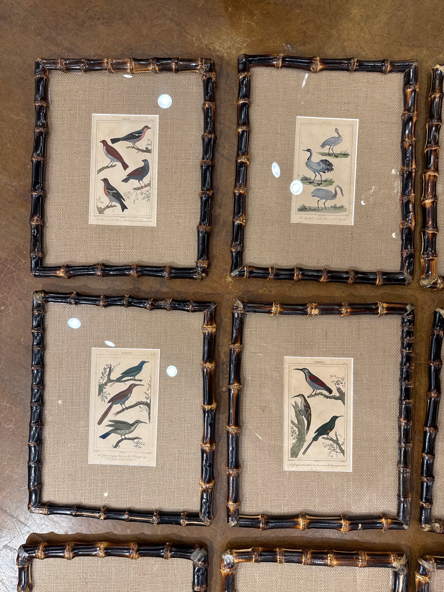 19th c Framed Birds in Bamboo (have 18)