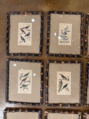 19th c Framed Birds in Bamboo (have 18)