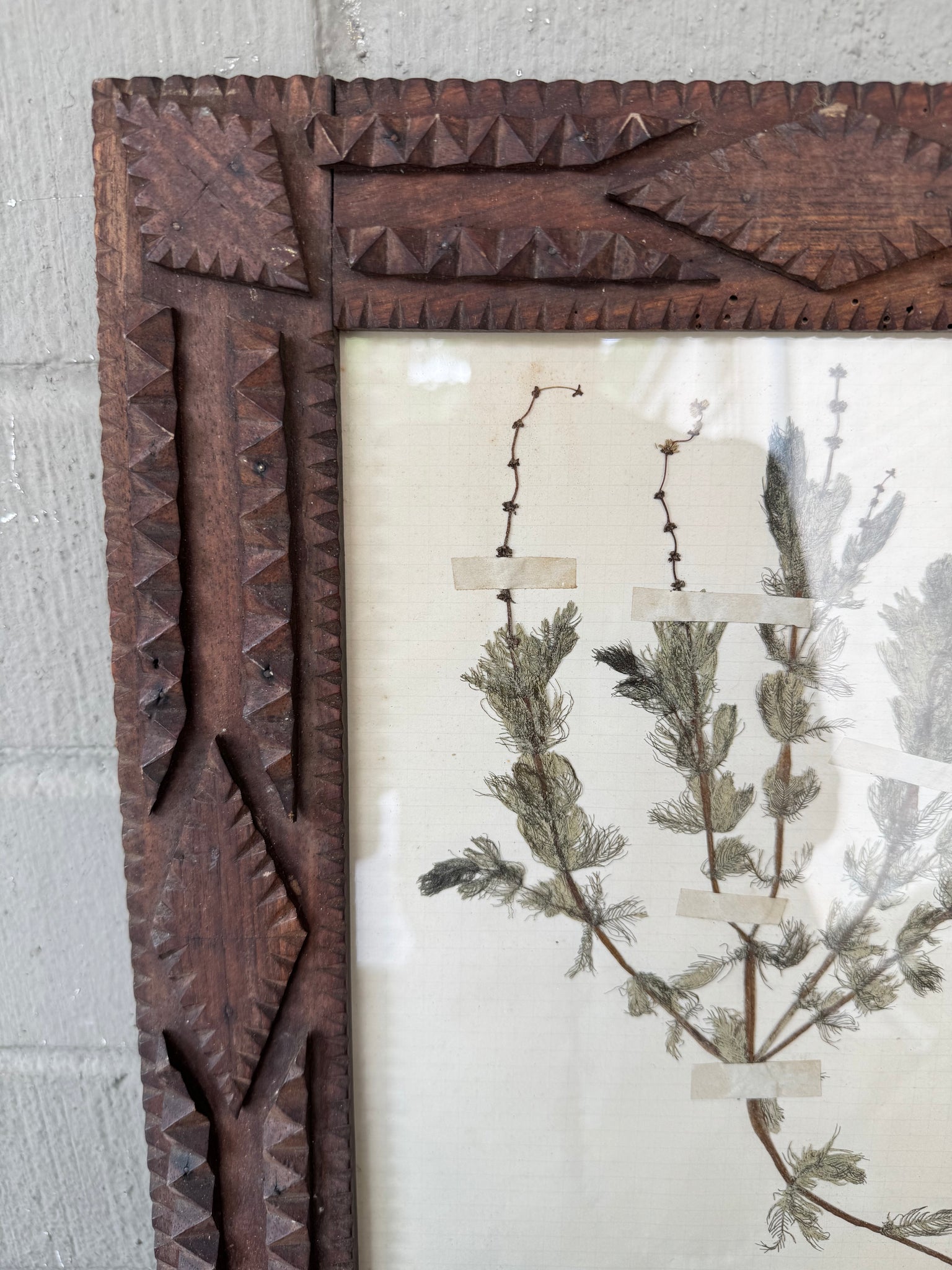French Tramp Art Herbarium