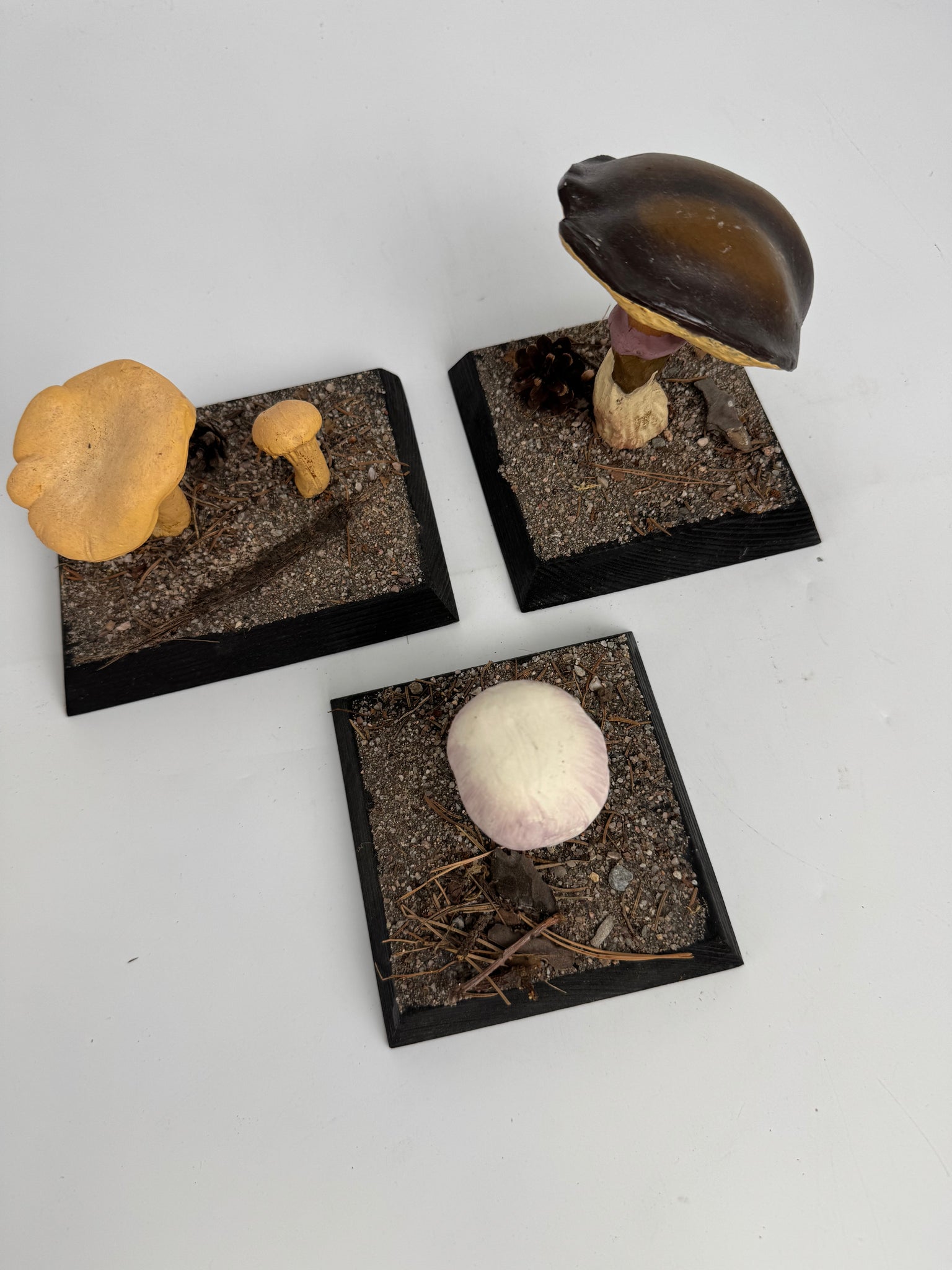 European Scientific Mushroom Models