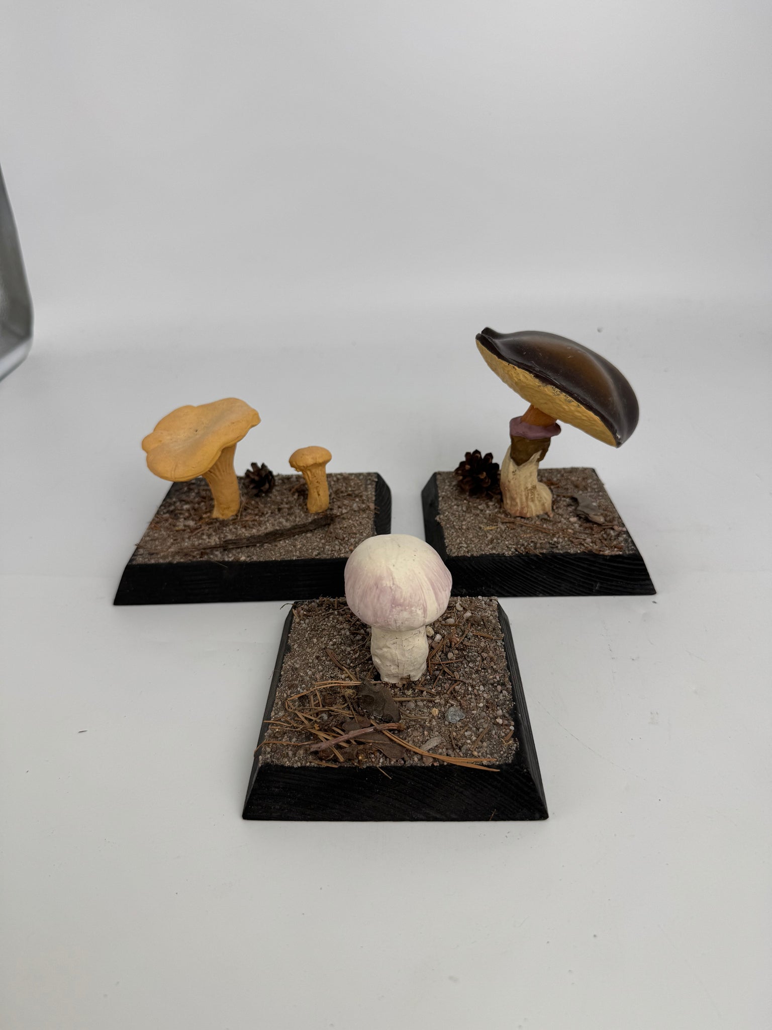 European Scientific Mushroom Models