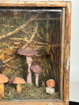 European Mushroom Diorama