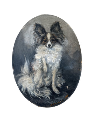 French Dog Portrait