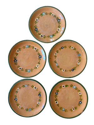 French Terracotta Plates, S/5