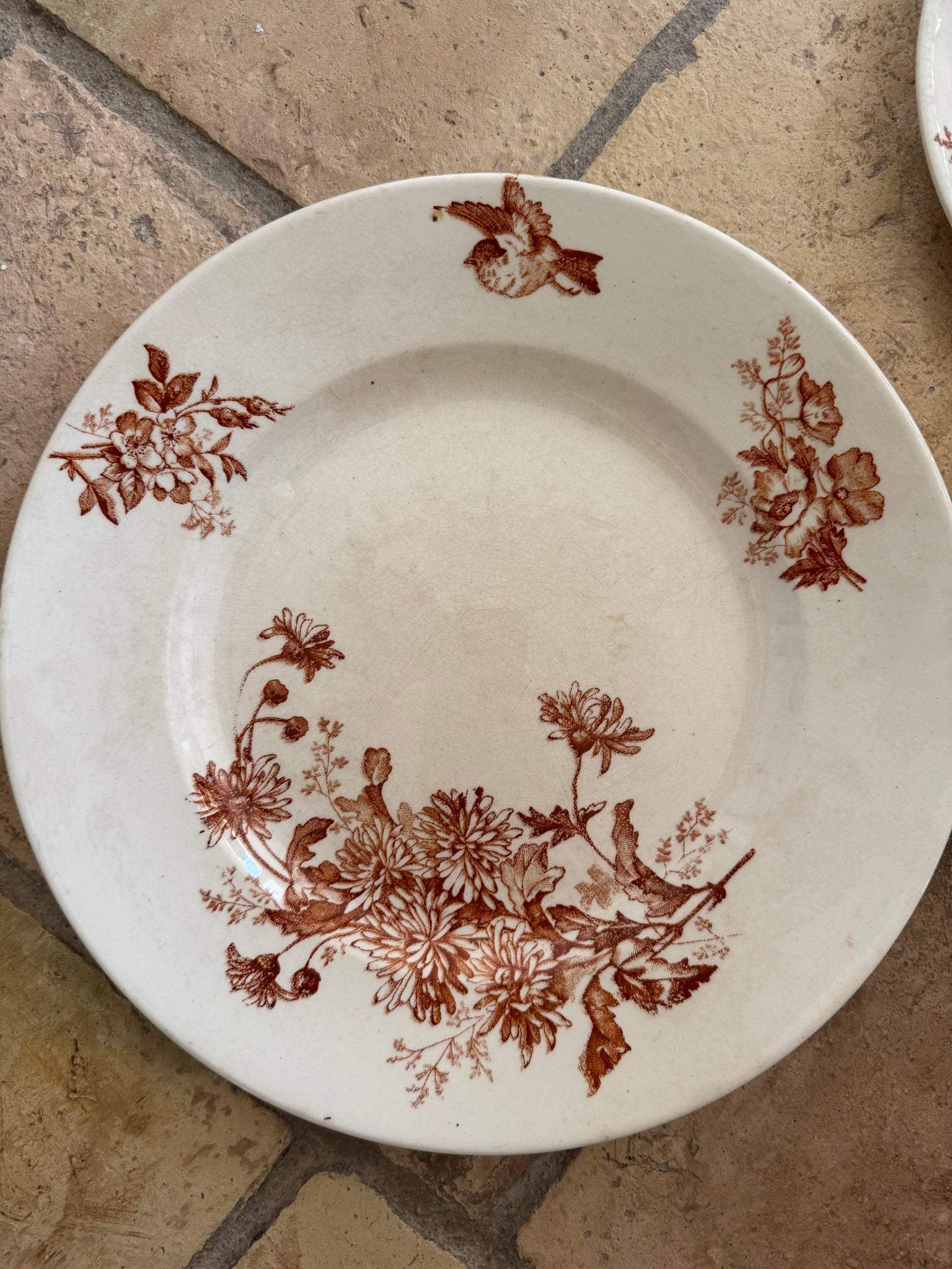 French Transferware, S/5