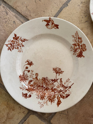French Transferware, S/5
