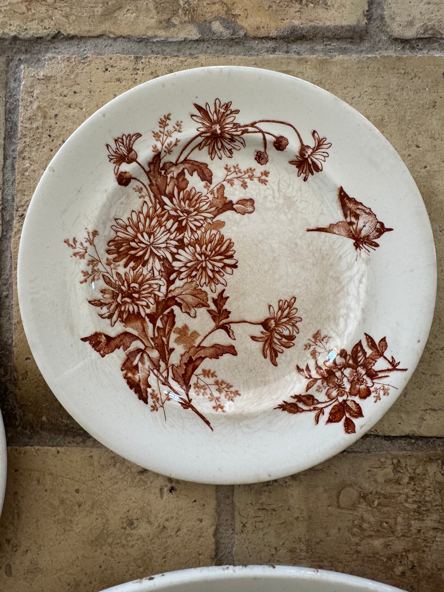French Transferware, S/5