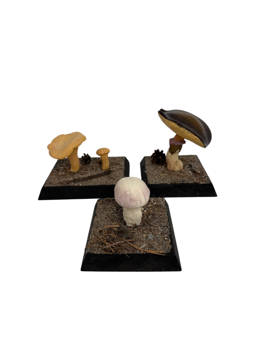European Scientific Mushroom Models