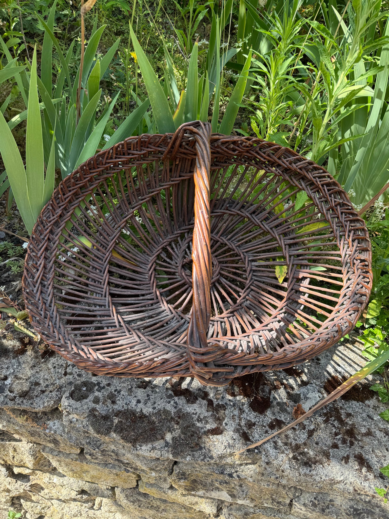 French Large Gathering Basket