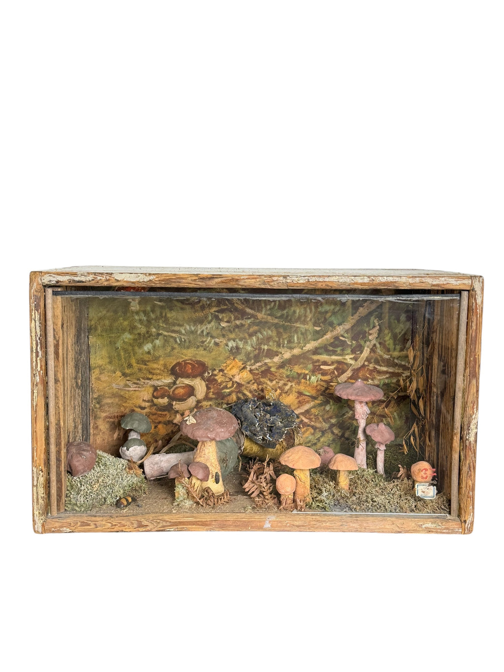 European Mushroom Diorama