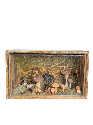 European Mushroom Diorama
