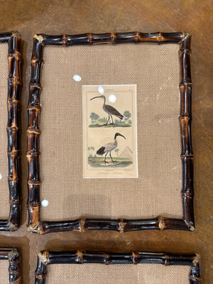 19th c Framed Birds in Bamboo (have 18)