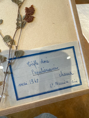 French Herbariums (14 available)