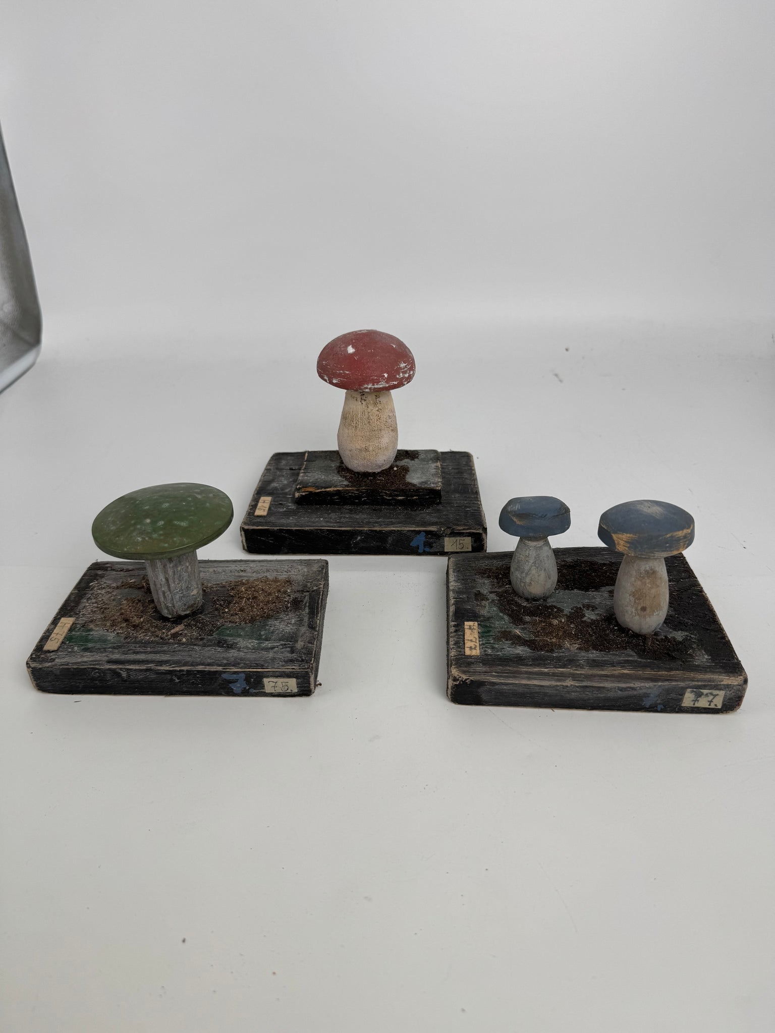 European Scientific Mushroom Models (have13)