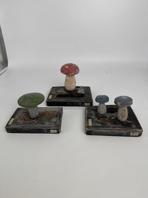 European Scientific Mushroom Models (have13)