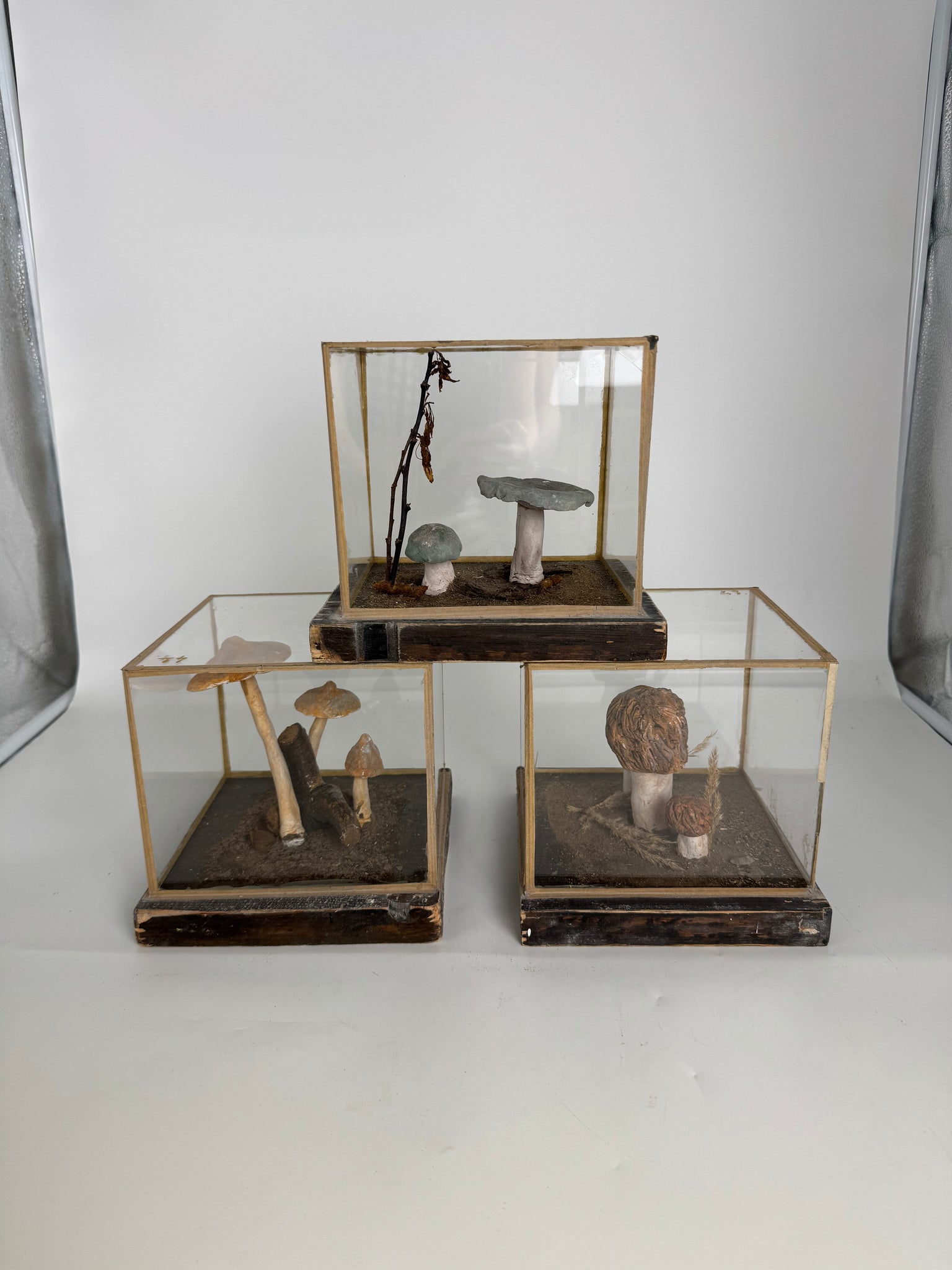European Mushroom Models (have 4)