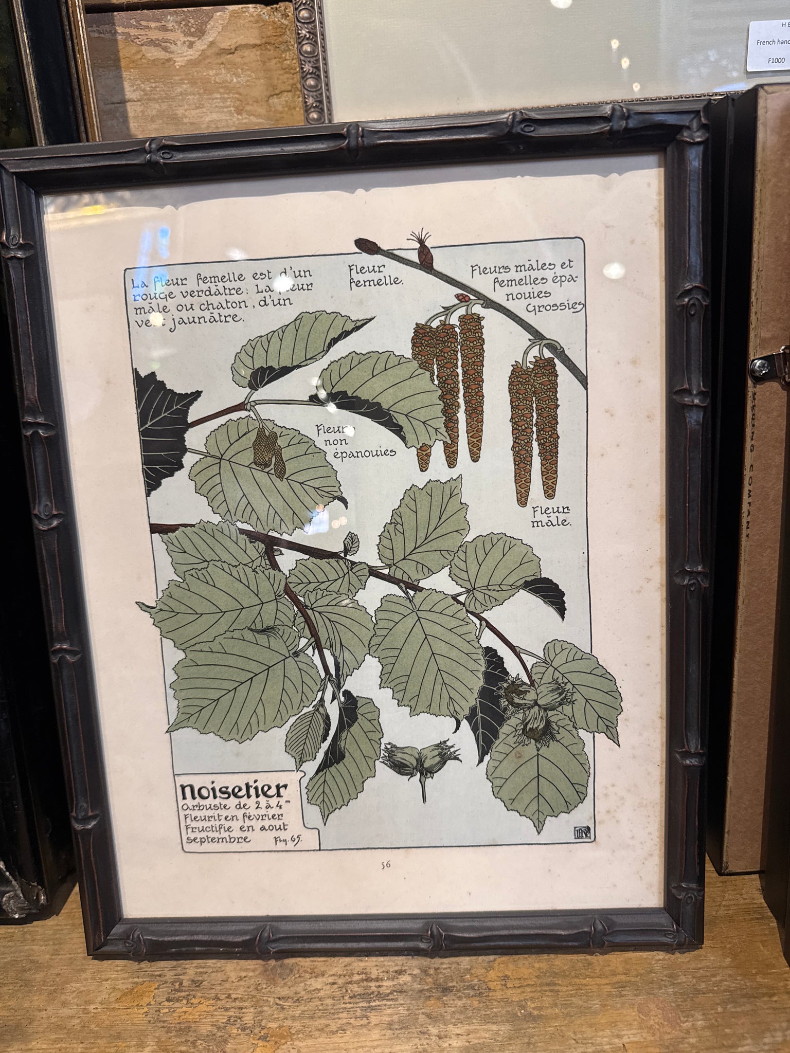 Art Nuveau Framed Prints 1903 (22 avail)