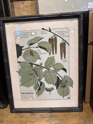Art Nuveau Framed Prints 1903 (22 avail)