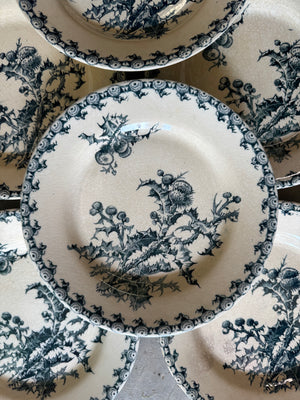 French Transferware Plates, S/7