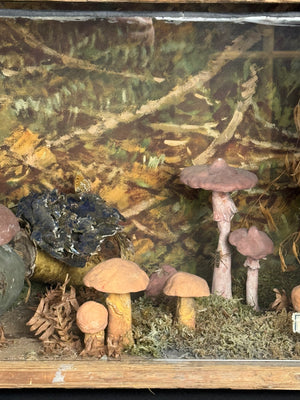 European Mushroom Diorama