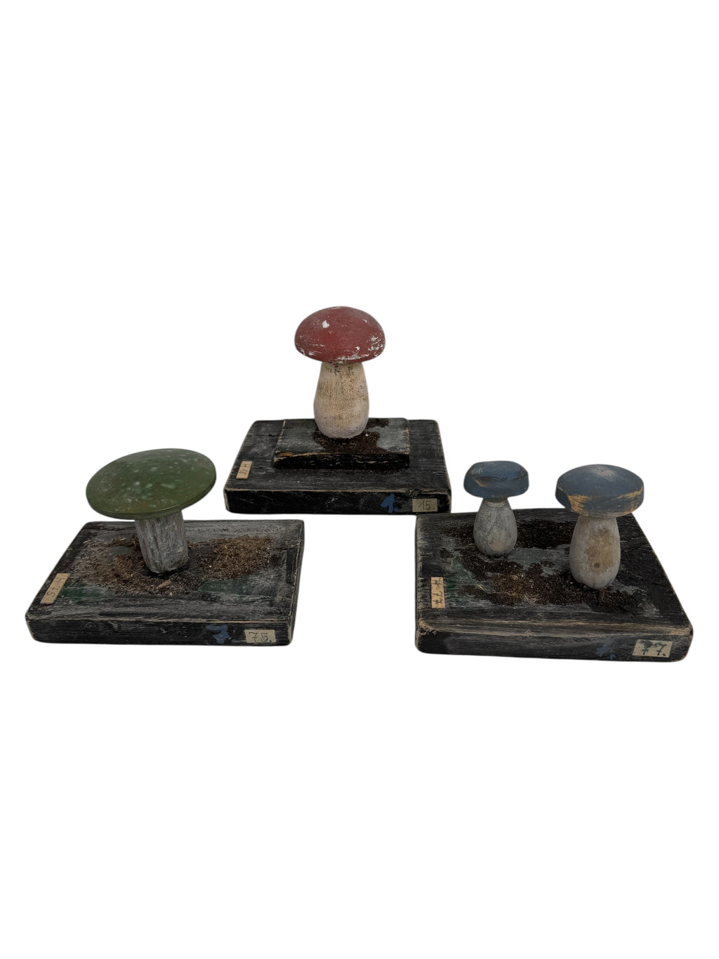European Scientific Mushroom Models (have13)