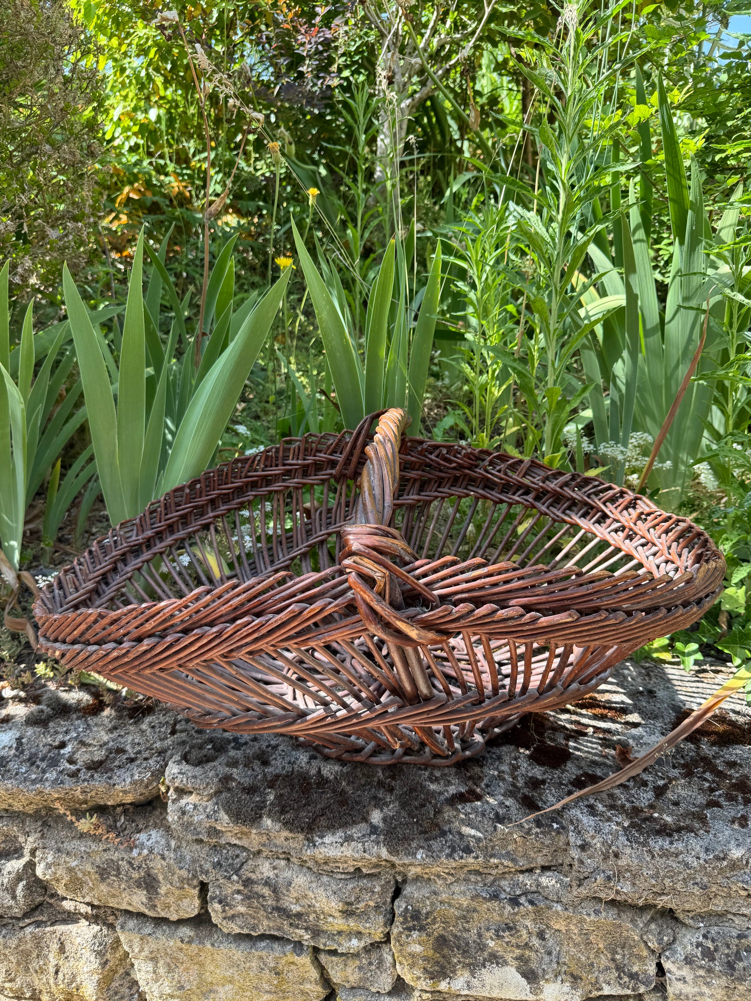 French Large Gathering Basket