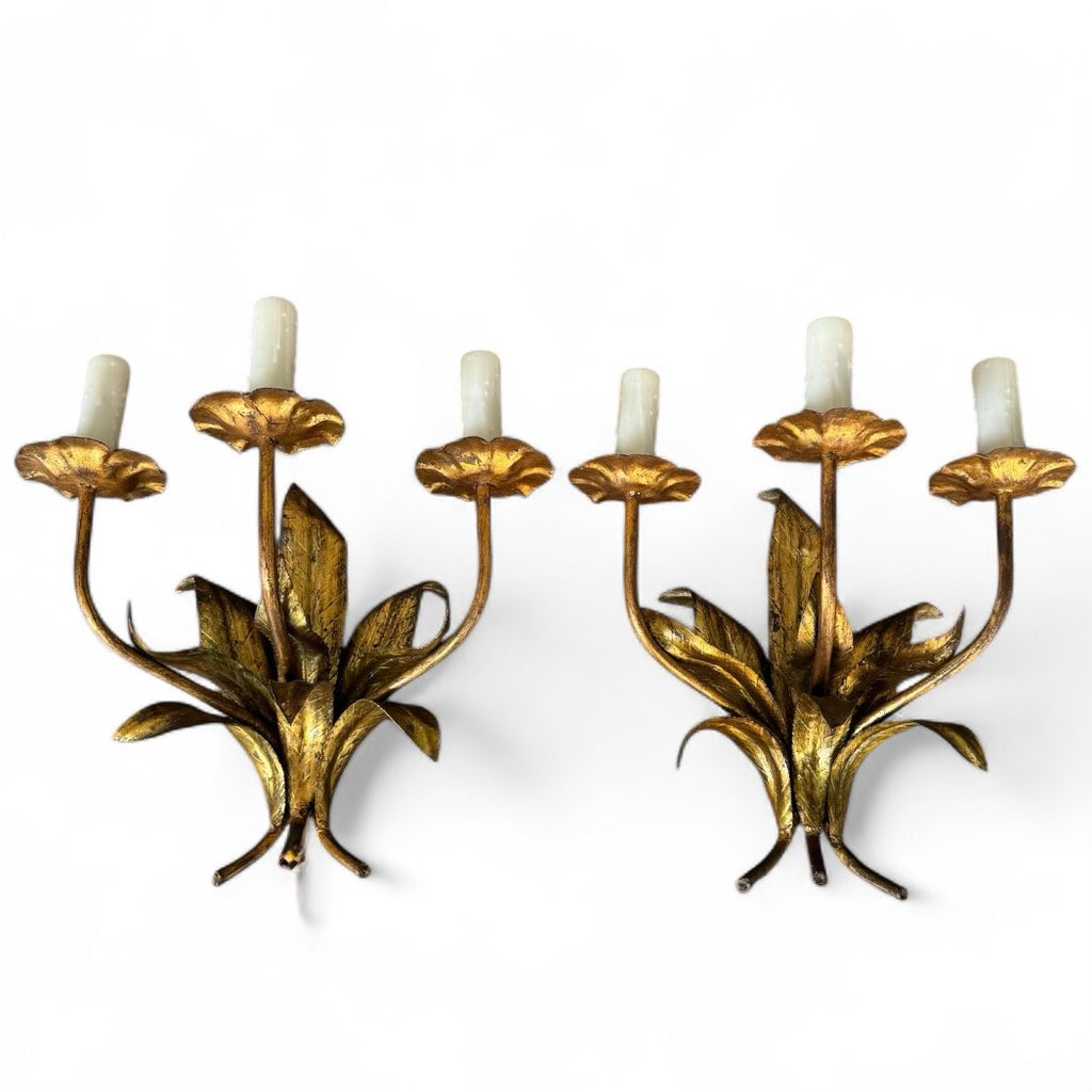 Pair of Spanish Sconces