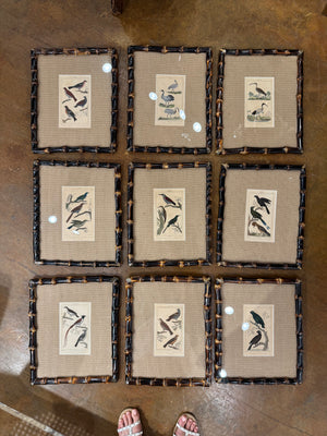 19th c Framed Birds in Bamboo (have 18)
