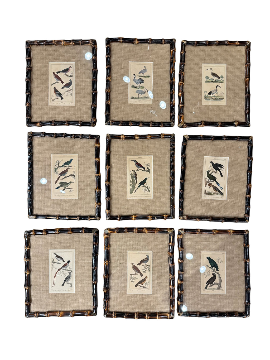 19th c Framed Birds in Bamboo (have 18)