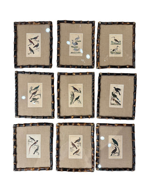 19th c Framed Birds in Bamboo (have 18)