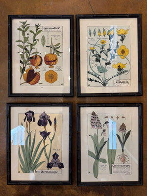 Art Nuveau Framed Prints 1903 (22 avail)