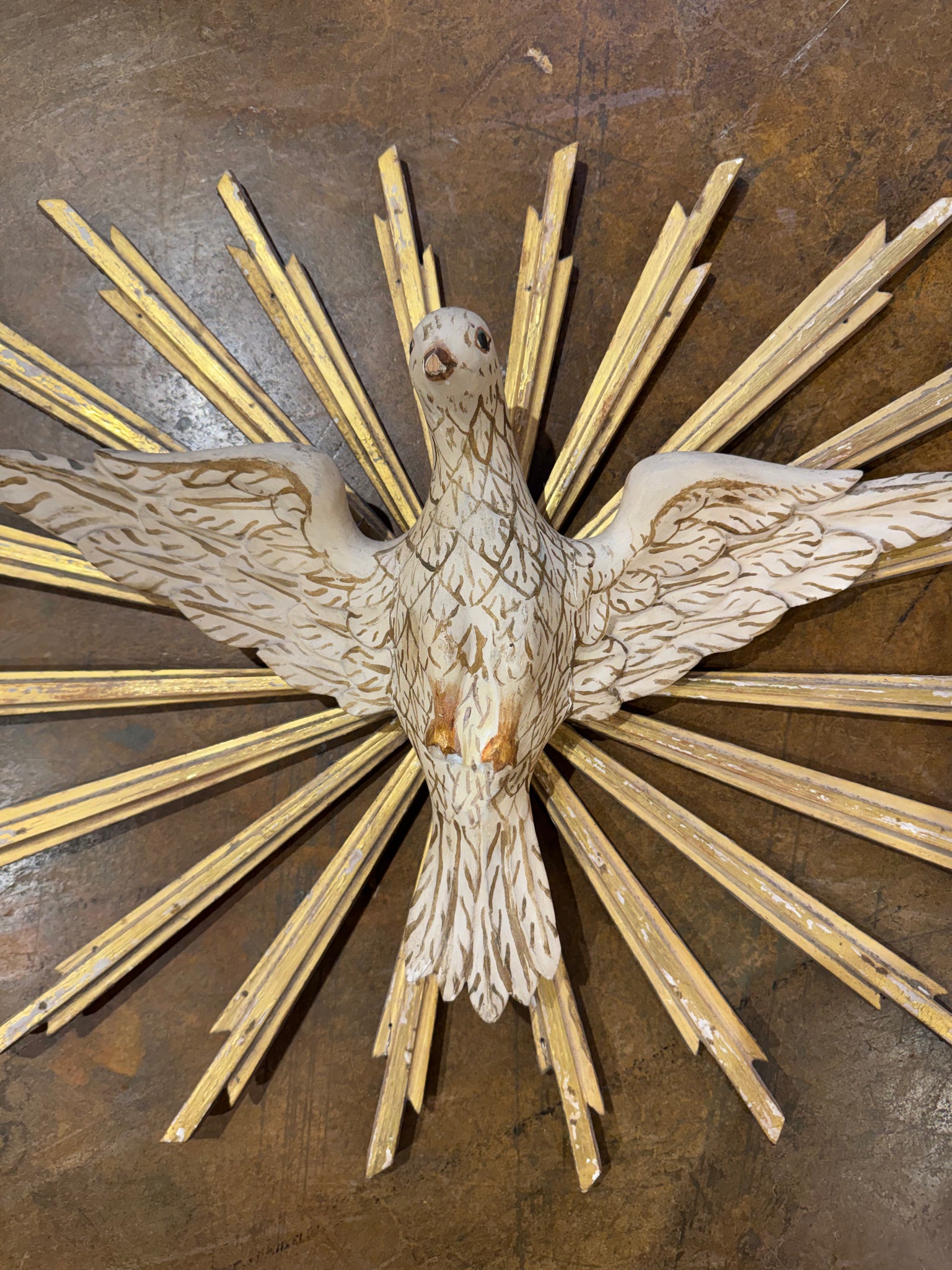 French Dove Starburst