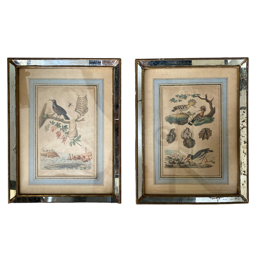 Pair French Bird Prints