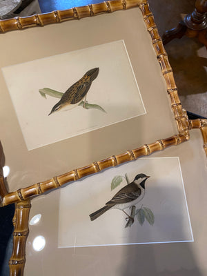 Bird prints in Bamboo Frame