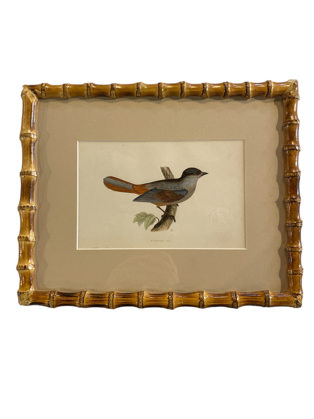 Bird prints in Bamboo Frame