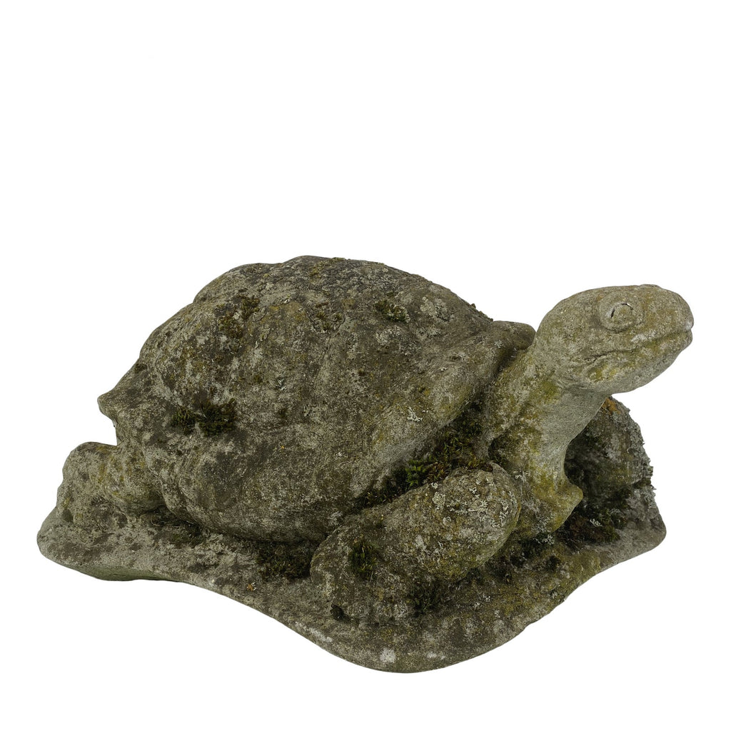 English Concrete Turtle