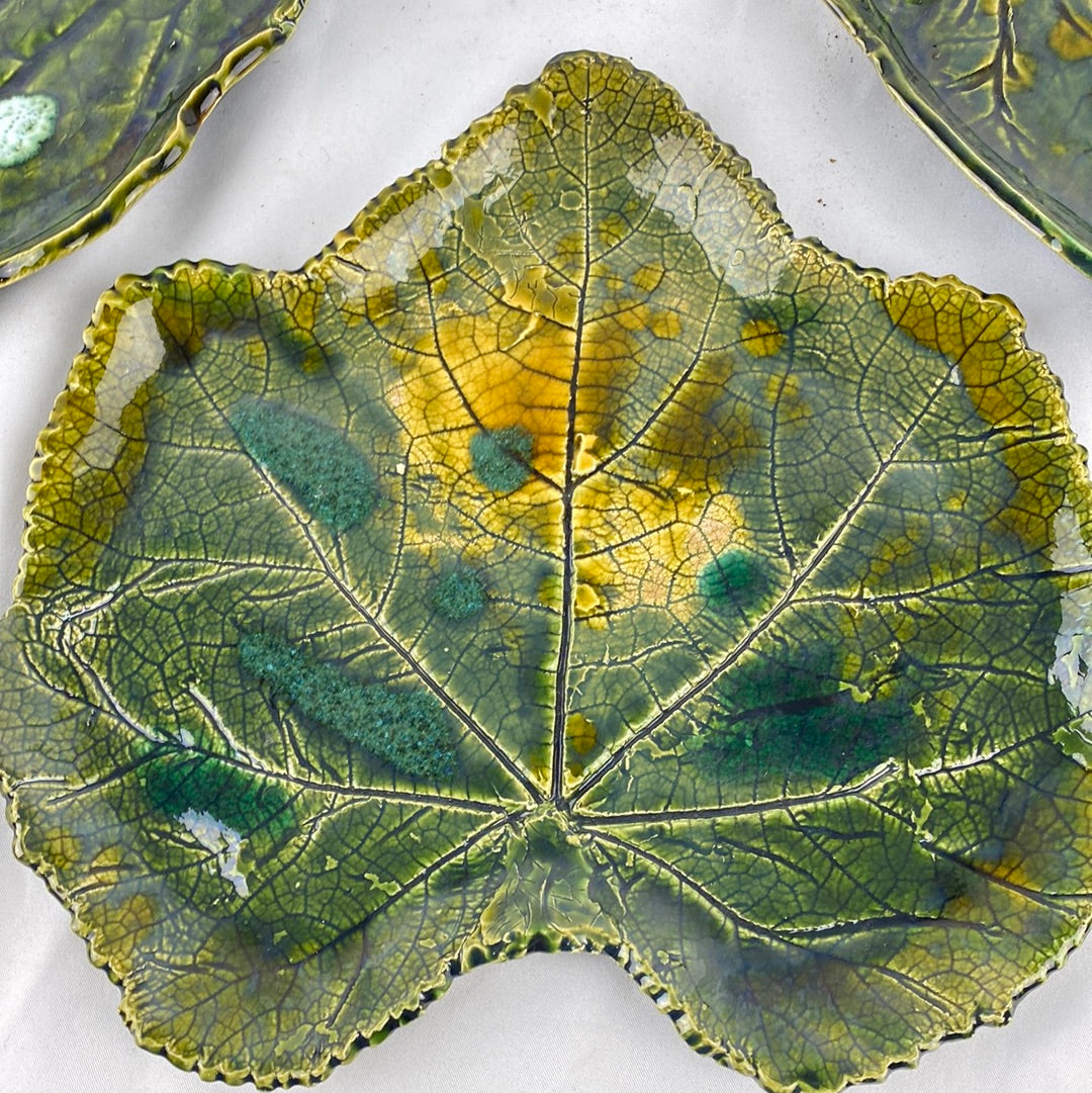 French Leaf Plates, S/6