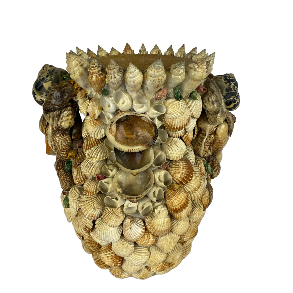 French Shell Vase