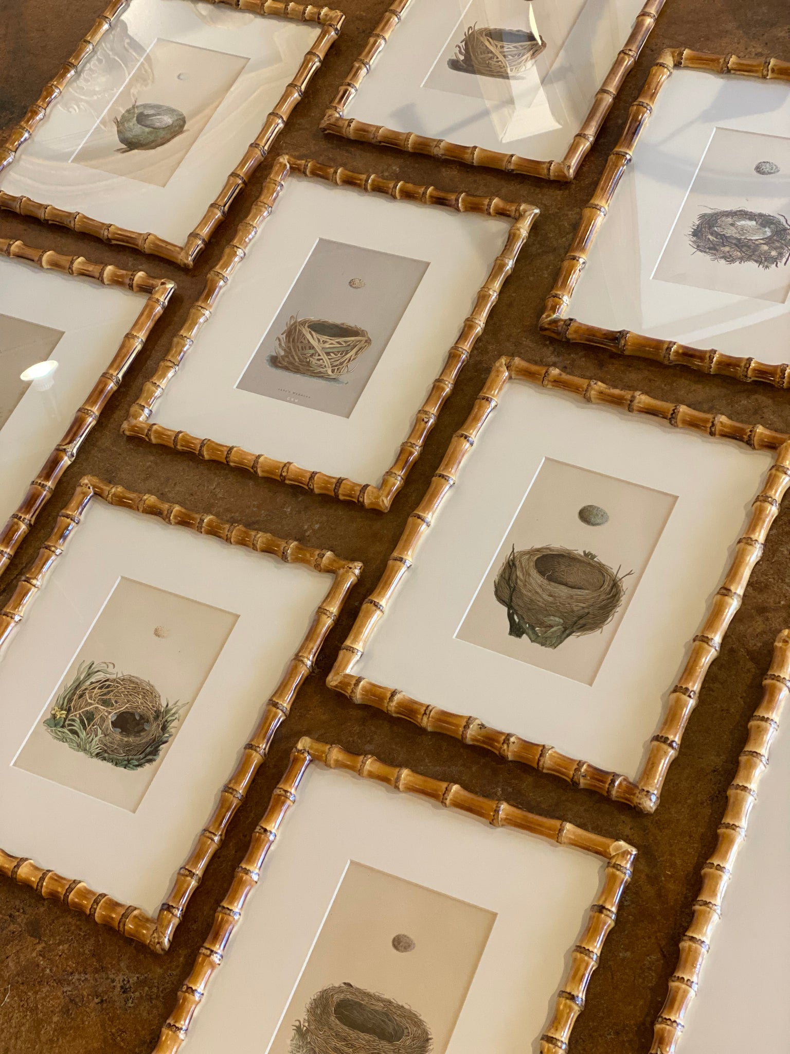 Egg nest prints in Bamboo Frames (11 available)