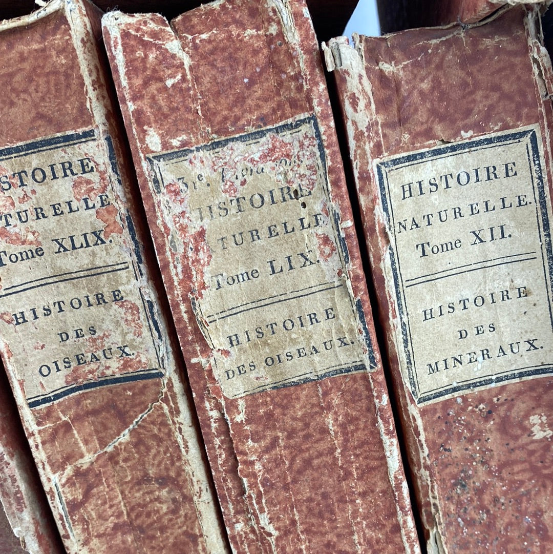 French Paper Books, S/20