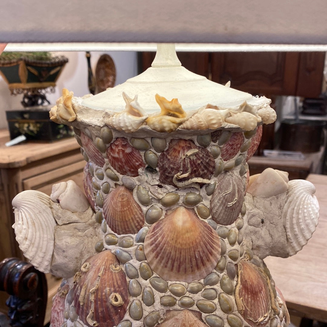 French Shell Lamp